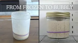 Thumbnail: How to Revive a Frozen Sourdough Starter - It's Easier Than You Think!