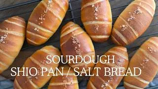 Thumbnail: Salt Bread (Shio Pan) - My Sourdough Version