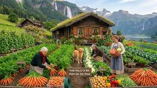 Thumbnail: Full Video: Peaceful Farm Life | A Beautiful Harvesting Organic Fruits in a Stunning Countryside