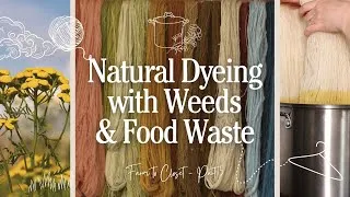 Thumbnail: Part 5 - Dyes from Local Plants | Farm to Closet
