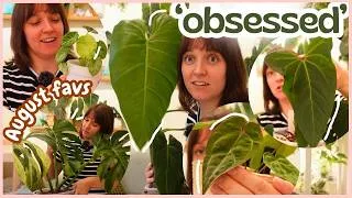 Thumbnail: Top 10 Houseplants of August 2026 | I'm obsessed 😍🪴