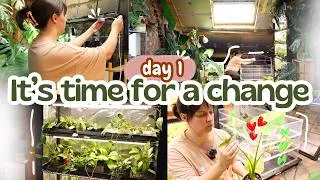 Thumbnail: Day 1 of my plant room revamp🪴💡rearranging, cleaning & new set ups