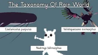 Thumbnail: I gave every Rain World animal a scientific name, and ranked them phylogenetically.