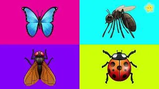 Thumbnail: Learn Insects for Kids | Guess the Bug