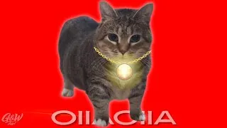 Thumbnail: OIIAOIIA CAT - See You Again (Tropical House Remix) Cat Brainrot