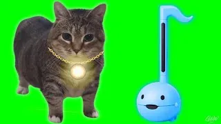 Thumbnail: OIIAOIIA Cat ft OTAMATONE - LOVE (Techno Remix) Cat Brainrot 