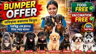 Thumbnail: Best Home Breed Dog in Kolkata | Kolkata Pet Market | Best Dog shop in Kolkata | Dog Market Kolkata