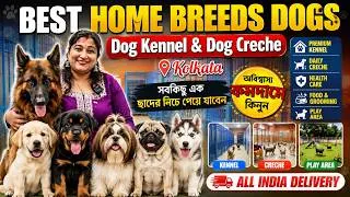 Thumbnail: Best Home Breed Dog in Kolkata | Kolkata Pet Market | Dog Kennel in Kolkata | Dog Market in Kolkata