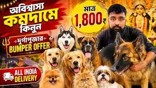 Thumbnail: Best Home Breed Dog in Kolkata | Kolkata Pet Market | Dog Puppy Price Update | Dog Market in Kolkata