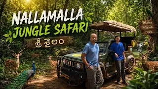Thumbnail: Nallamala Forest Safari Srisailam | Forest Safari | telugu vlogs | myself sailaja | Travel