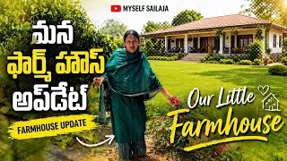 Thumbnail: ఫార్మహౌజ్ Update #farmhouseconstruction #myselfsailaja #teluguvlogs #farmhouse 