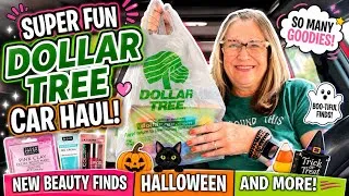Thumbnail: SUPER FUN DOLLAR TREE CAR HAUL!!!