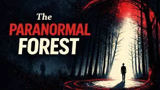 Thumbnail: The Forest Where People Disappear | Europe's Bermuda Triangle