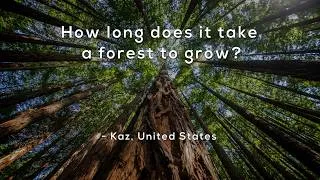 Thumbnail: How long does it take a forest to grow?