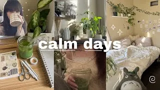 Thumbnail: my quiet daily life 𖦹˚🍵 cleaning, cooking, self care, new hobonichi planner, no talking