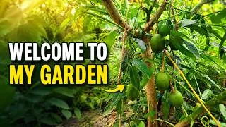 Thumbnail: Welcome My Garden