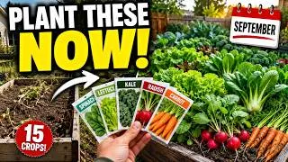 Thumbnail: 15 Crops You Can STILL Plant in September Before It’s Too Late!