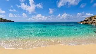 Thumbnail: Jade Sea & Gold Sand: Gouverneur Beach Tranquility