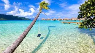 Thumbnail: Palm Tree Swing: Beautiful Le Taha'a By Pearl Resorts