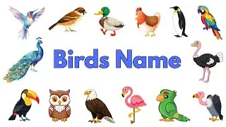 Thumbnail: 20 Birds Name | Birds Name for Kids | Birds Name English | First words for babies | English vocab
