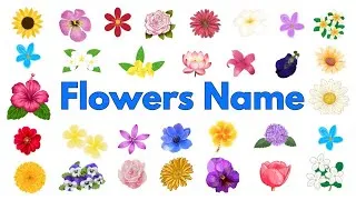 Thumbnail: 20 Flowers Name in English | Baby educational video | First words for babies | English vocabulary
