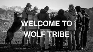 Thumbnail: Welcome to Wolf Tribe