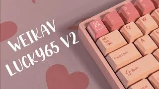 Thumbnail: Weikav Lucky65 V2 The Best Budget Keyboard Kit! | Build | Sound Test | Break Down.