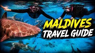 Thumbnail: Budget Travel Guide to Maldives🏖