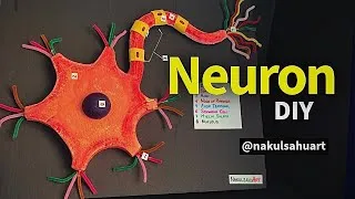 Thumbnail: DIY Neuron Model Using Cardboard & Fairy Lights | Easy Biology Science Project for School Exhibition