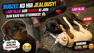 Thumbnail: Bubzee Ko Hui Jealousy! 😳 Lady Ollie Aur Baddie Ki Bonding Dekhkar Kya Hua? 🐶❤️