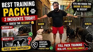 Thumbnail: Baddie & Bubzee Ke Beech Kyun Khada Hua Raaa? 😱 2 BIG Incidents | Best Pack Training!