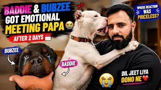 Thumbnail: 2 Din Baad Papa Ghar Aaye 😭❤️ Baddie & Bubzee Ka Reaction Dekhkar Aap Bhi Emotional Ho Jaoge!