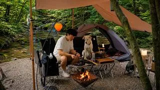 Thumbnail: Creekside Forest Camping with My Dog | Cooking, Relaxing & ASMR Sounds 🌿🔥