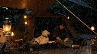 Thumbnail: Rain on the Tent, Peace in the Heart 🌧️ | Forest Camping ASMR