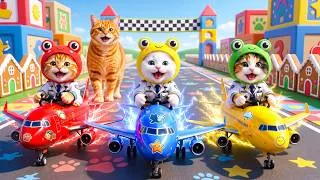 Thumbnail: Mama Cat Trims Fur on the Farm and Makes Tiger Hat For Kittens At Home🐾🎩🐯