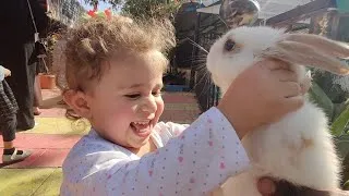 Thumbnail: شفا خافت من دجاجة في حديقة الحيوانات Nastya play in ZOO