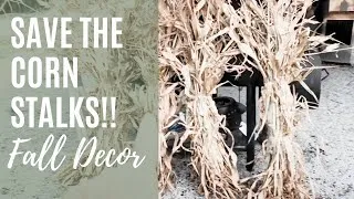 Thumbnail: Corn Stalks For Fall Decorations From My Garden - Zero Waste