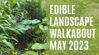 Thumbnail: Edible Landscape Walkabout - a DEER DIARY MOMENT