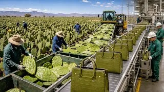 Thumbnail: Inside the Massive Factory Turning Millions of Cactus Plants Into Luxury Leather Bags