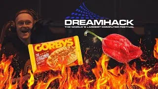 Thumbnail: Äter du ens chilli?...- DreamHack 2018 | NaouCrew