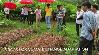 Thumbnail: Attending the Participatory Training in the Philippines, 05 - 10 October 2014