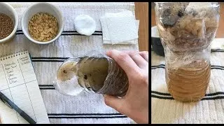Thumbnail: Learning Space with NASA - Make a Water Filter
