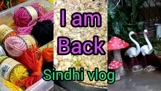 Thumbnail: I am back 😊/my daily routine 🥣🥘🪣🪴🫕/sindhi vlog 💕