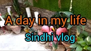 Thumbnail: A day in my life 😊/my daily routine 🪴🪣🫕🎨🖌🥣🥘/sindhi vlog 💕 