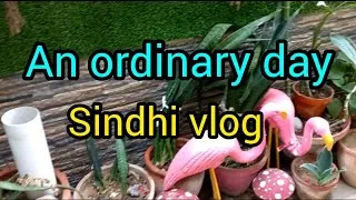 Thumbnail: An ordinary day 🤗/my daily routine 🥣🥘🫕🪴🪣🎨🖌/sindhi vlog 💕 