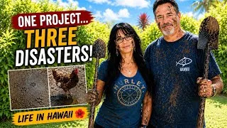 Thumbnail: Retired Life in Hawaii VLOG: Beaches, Bananas & Sudden Injuries