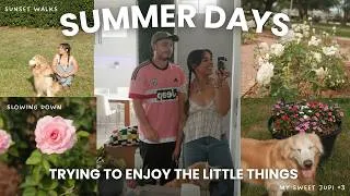 Thumbnail: SPEND A FEW SUMMER DAYS WITH US (sunset walks, thrifting, spending time with my senior dog)