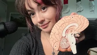 Thumbnail: Brain Anatomy ASMR 🧠💡| Mouth sounds, tapping, whisper, and soft spoken 🙂‍↕️