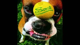 Thumbnail: Snot - Mr. Brett (Explicit) (1997 CD Audio)