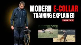 Thumbnail: Are We Getting E-Collar Training Wrong?